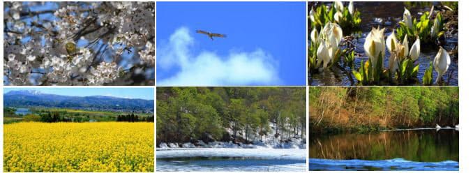 マウスコンピューター 飯山の自然を堪能できるスクリーンセーバーをユーザー限定で無料配布 日本経済新聞