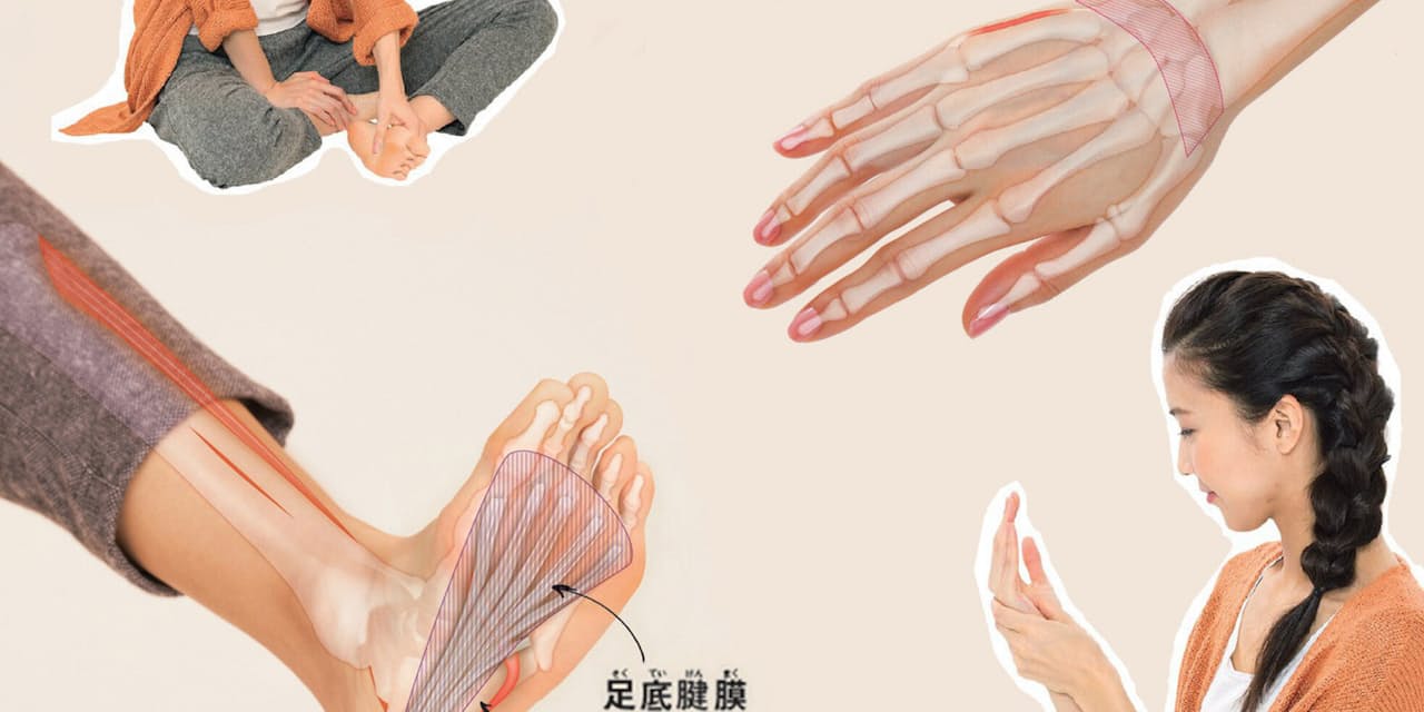 30秒で代謝がアップ 朝の手のひらもみ 夜の足裏もみ Nikkei Style 30秒で代謝がアップ 朝の手のひらもみ 夜の足裏もみ Nikkei Style