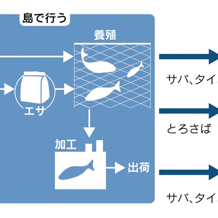 養殖から外食まで 鯖やのユニクロ戦略 日本経済新聞 養殖から外食まで 鯖やのユニクロ戦略 日本経済新聞