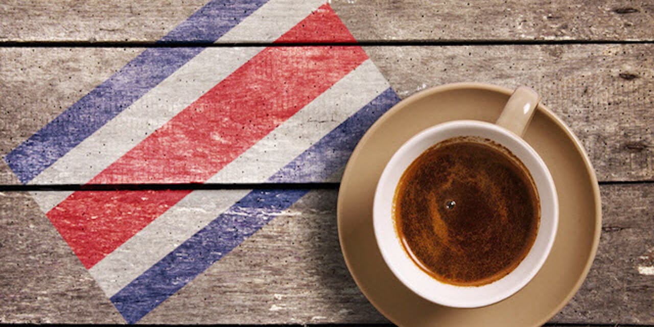 幻のコーヒー ゲイシャ 最高級の味をコスタリカで Nikkei Style 幻のコーヒー ゲイシャ 最高級の味をコスタリカで Nikkei Style