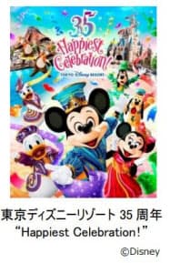 東京ディズニーランドと東京ディズニーシー 首都圏ウィークデーパスポート を販売 日本経済新聞