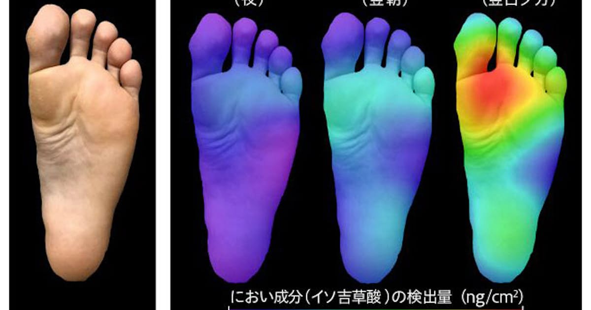 足裏のどこが臭う 花王 微量においの可視化技術 日本経済新聞 足裏のどこが臭う 花王 微量においの可視化技術 日本経済新聞