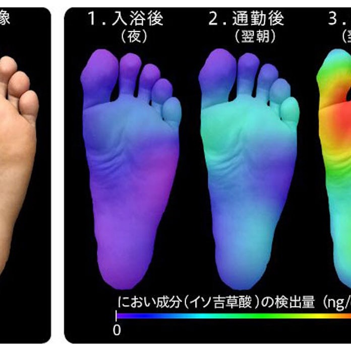 足裏のどこが臭う 花王 微量においの可視化技術 日本経済新聞 足裏のどこが臭う 花王 微量においの可視化技術 日本経済新聞