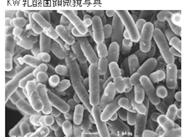 小岩井乳業 小岩井 さわやかcaヨーグルト Kw乳酸菌プラス を発売 日本経済新聞 小岩井乳業 小岩井 さわやかcaヨーグルト Kw乳酸菌プラス を発売 日本経済新聞