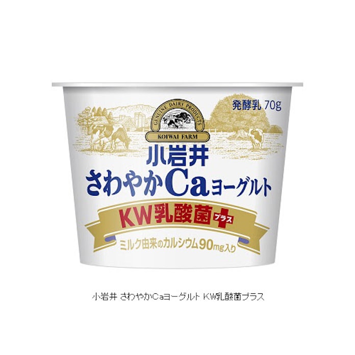 小岩井乳業 小岩井 さわやかcaヨーグルト Kw乳酸菌プラス を発売 日本経済新聞 小岩井乳業 小岩井 さわやかcaヨーグルト Kw乳酸菌プラス を発売 日本経済新聞