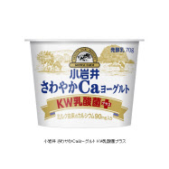 小岩井乳業 小岩井 さわやかcaヨーグルト Kw乳酸菌プラス を発売 日本経済新聞