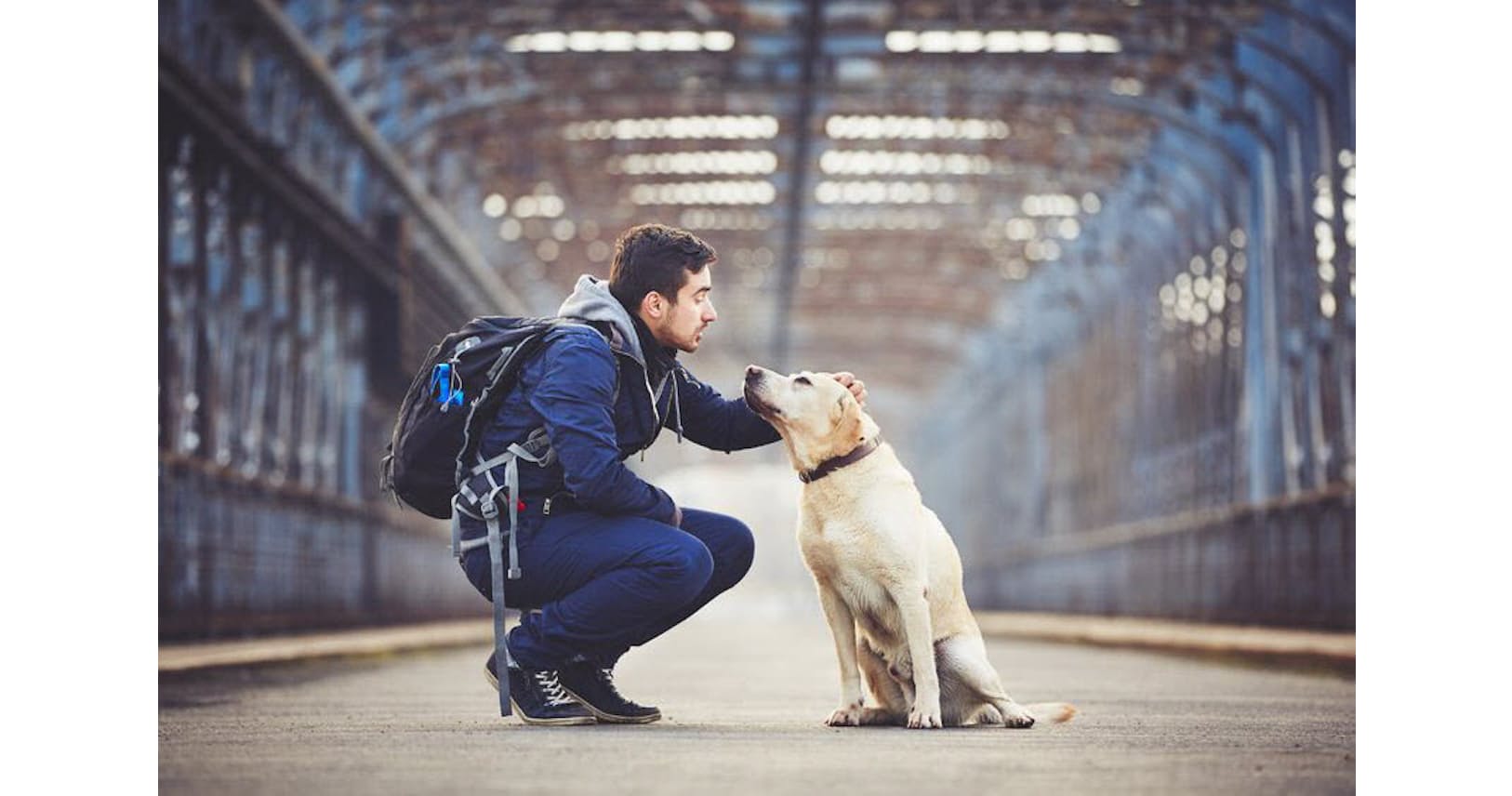 犬との暮らしは寿命を延ばす 最新研究が示すこと Nikkei Style