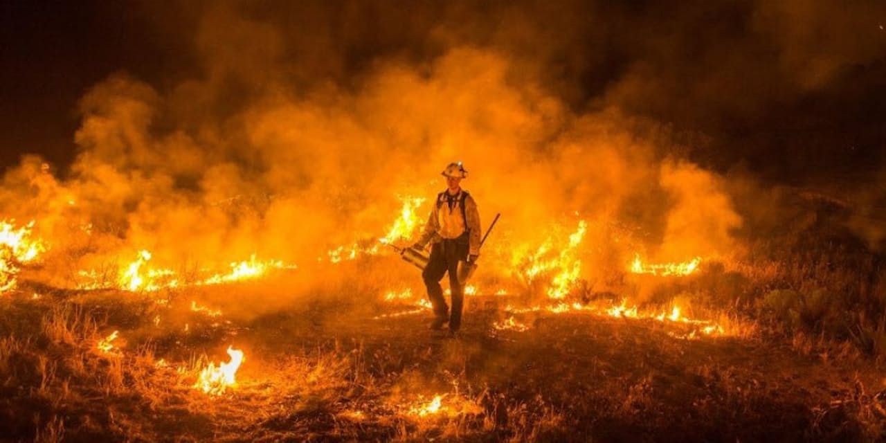 恐るべき山火事の現場 消防士だから撮れた写真10点 ナショジオ Nikkei Style