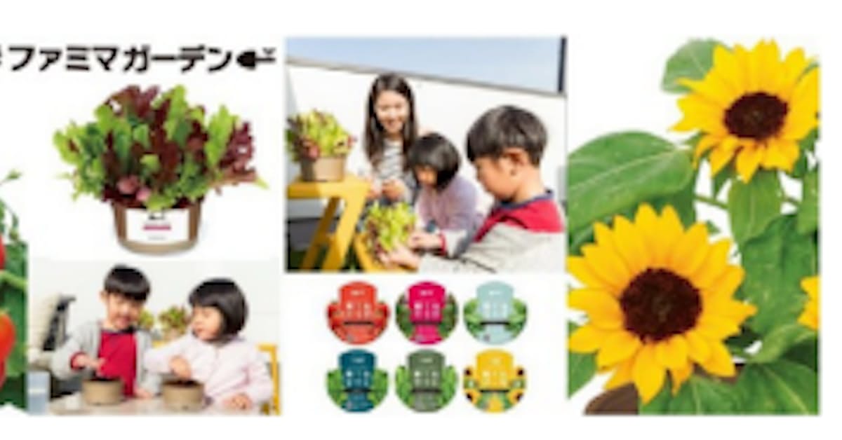 ファミリーマート サカタのタネ 住友化学園芸と共同開発した家庭栽培キット 育てる シリーズ6種類を発売 日本経済新聞