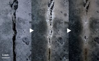 バクテリアの働きで、コンクリートのひび割れが約2カ月でほぼ修復できた様子（出所:デルフト工科大学）