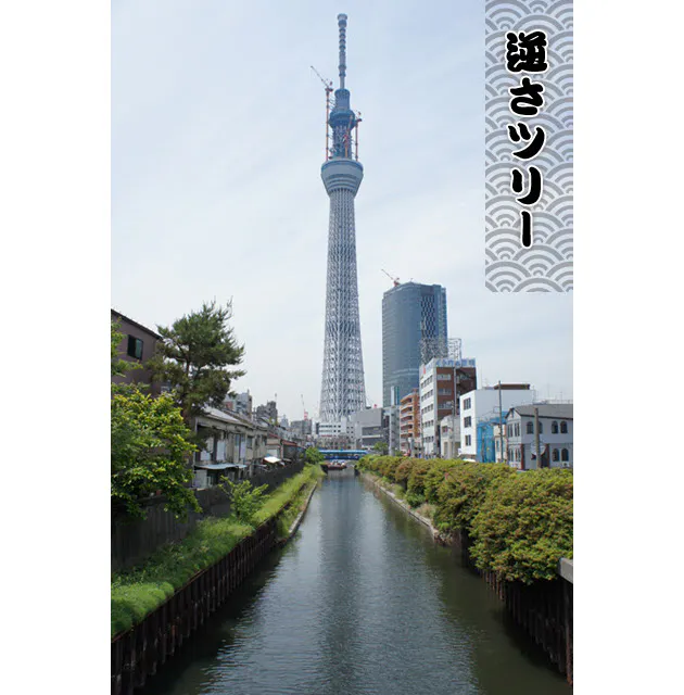 スカイツリーと東京タワーが並んで見える場所 日本一の地下道 逆さスカイツリー 東 Nikkei Style スカイツリーと東京タワーが並んで見える場所 日本一の地下道 逆さスカイツリー 東 Nikkei Style