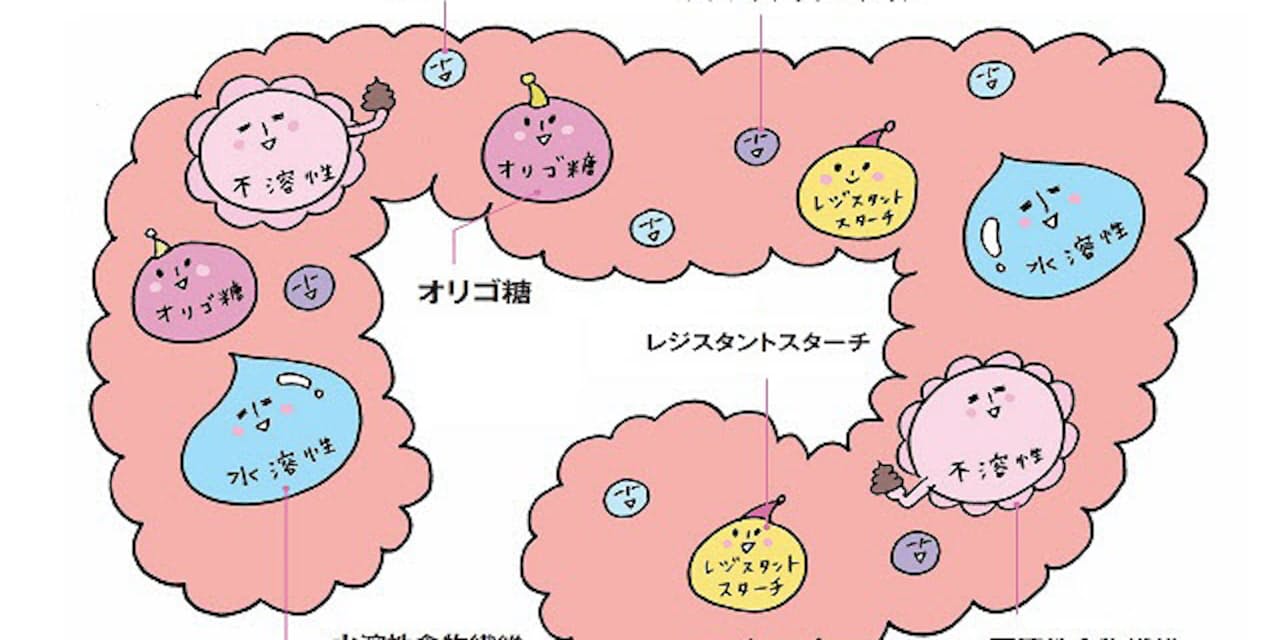 肥満や肌荒れ抑制で注目 腸が喜ぶ食物繊維のとり方 Nikkei Style 肥満や肌荒れ抑制で注目 腸が喜ぶ食物繊維のとり方 Nikkei Style