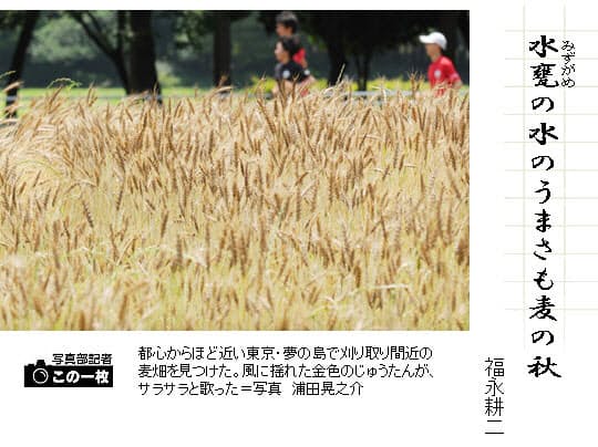 麦の季語 俳句一口講座 麦秋 日本経済新聞