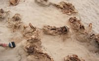 考古学者たちは1日で12体以上の生贄の遺体を発掘した。遺体は乾燥した砂の中で500年以上保存されていた。子供たちの死亡時の年齢は8歳～12歳が多かった（PHOTOGRAPH BY GABRIEL PRIETO）