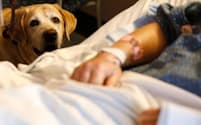 2018年3月6日、ボストン、マサチューセッツ総合病院の患者ジム・コーリーさんを訪ねるセラピー犬の「タッカー」（PHOTOGRAPH BY JESSICA RINALDI, THE BOSTON GLOBE/GETTY）