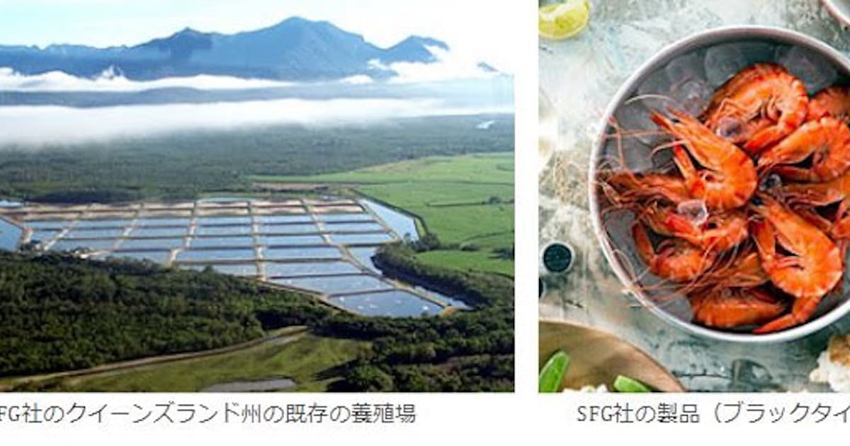 日本水産 オーストラリアのエビ養殖会社シーファーム グループ社に資本参加 日本経済新聞 日本水産 オーストラリアのエビ養殖会社シーファーム グループ社に資本参加 日本経済新聞