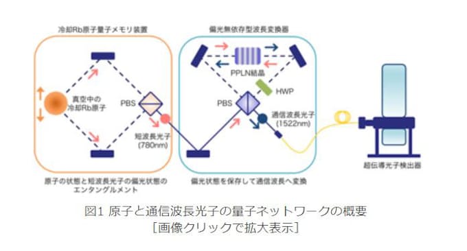 Nict 阪大 東大 冷却原子量子メモリと光ファイバー通信波長帯光子との量子ネットワーク実証に成功 日本経済新聞
