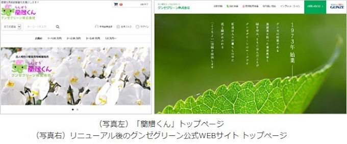 グンゼグリーン 法人向け贈答用胡蝶蘭販売 蘭贈くん を本格スタート 日本経済新聞