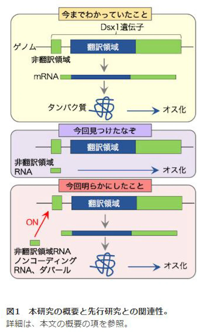 日本経済新聞