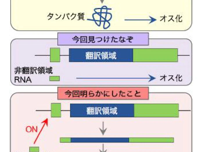 日本経済新聞