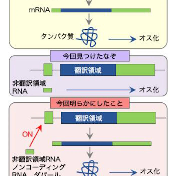 日本経済新聞