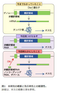 日本経済新聞