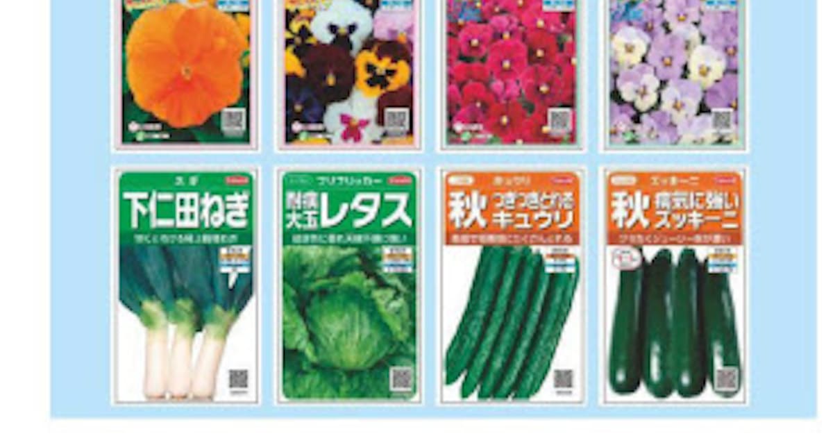 サカタのタネ 絵袋種子 実咲 みさき シリーズ 18年秋の新商品を発売 日本経済新聞
