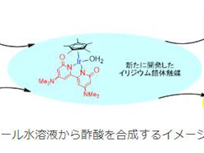 京大 エタノール水溶液から酢酸を合成する触媒系の開発に成功 日本経済新聞 京大 エタノール水溶液から酢酸を合成する触媒系の開発に成功 日本経済新聞