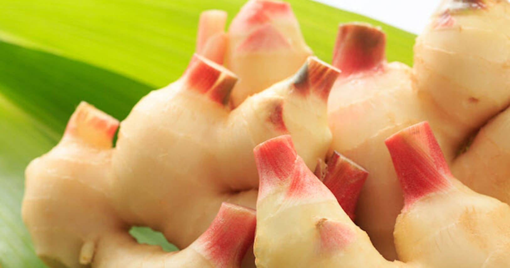 新ショウガ 今夏は脇役を返上 漬け汁のレシピが人気 Nikkei Style 新ショウガ 今夏は脇役を返上 漬け汁のレシピが人気 Nikkei Style