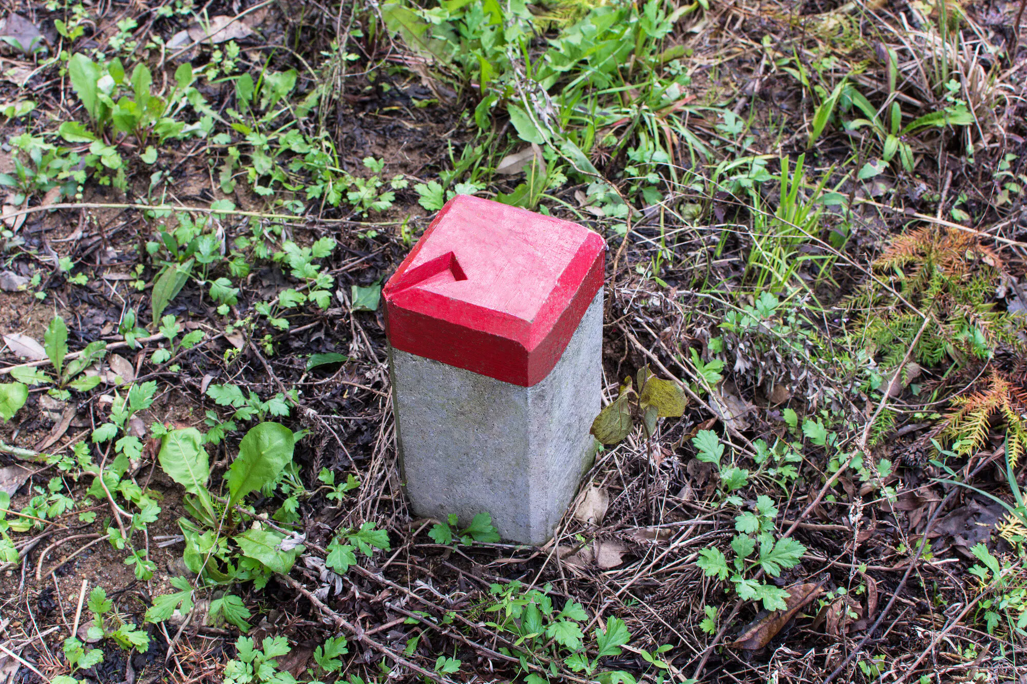 隣の家から 境界線が違う と苦情 土地売買の注意点 Nikkei Style 隣の家から 境界線が違う と苦情 土地売買の注意点 Nikkei Style