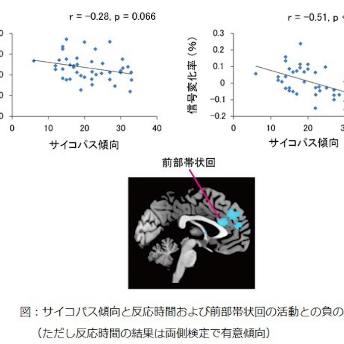 京大など サイコパスがためらいなく嘘をつく脳のメカニズムを解明 日本経済新聞