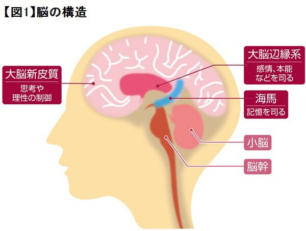 認知症 酒乱 飲酒で記憶が飛ぶ人が抱えるリスク Nikkei Style 認知症 酒乱 飲酒で記憶が飛ぶ人が抱えるリスク Nikkei Style