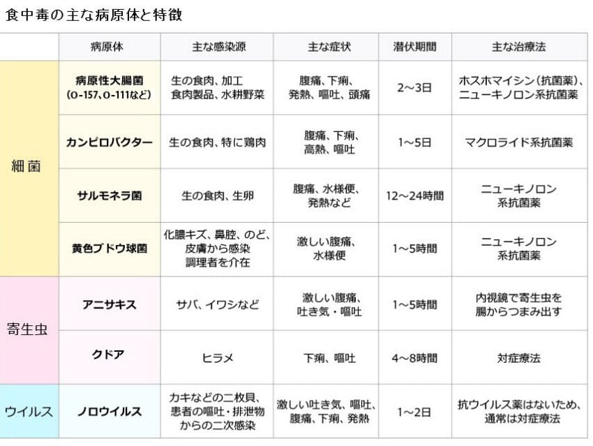 原因は直前に食べたものとは限らない 食中毒で疑うべきは直前に食べたもの そ Nikkei Style