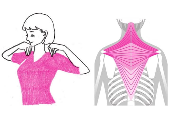 肩こりめまい 肩まわし体操 で首や肩の緊張ほぐす Nikkei Style