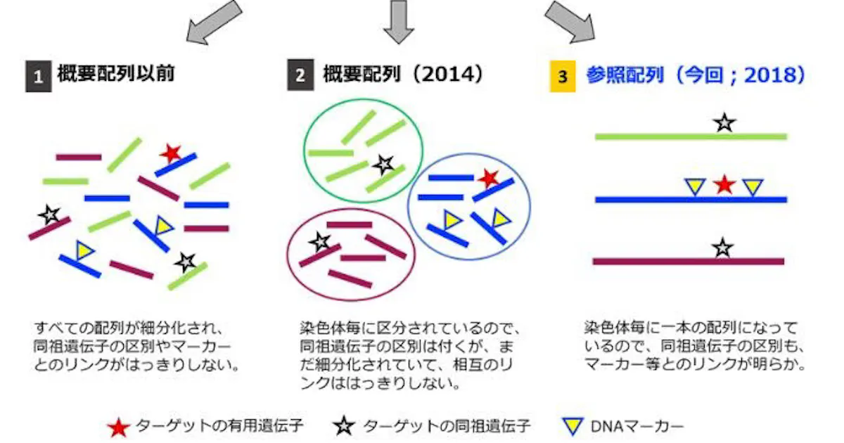 日本経済新聞