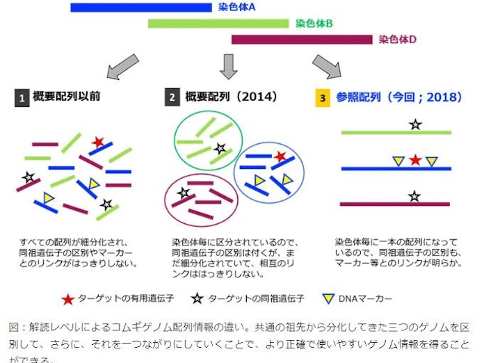 日本経済新聞