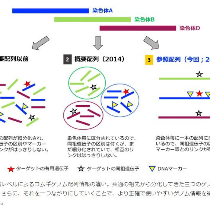 日本経済新聞