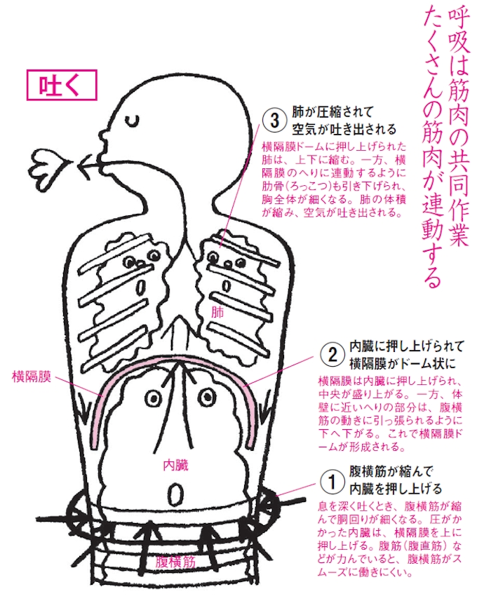 息 を 吸う と 胸 が 痛い 心臓が痛い 胸の痛みの症状から考えられる病気 心臓 血管 血液の病気 All About