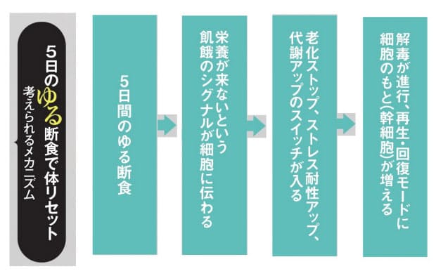 月5日の ゆる断食 無理なく脂肪減らし筋肉アップ Nikkei Style 月5日の ゆる断食 無理なく脂肪減らし筋肉アップ Nikkei Style