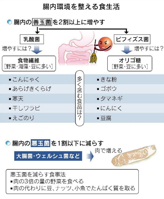 最高のコレクション 乳酸菌 食品 ランキング 食べ物の写真