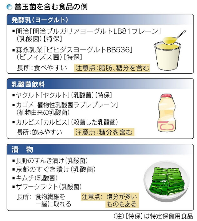 最高のコレクション 乳酸菌 食品 ランキング 食べ物の写真