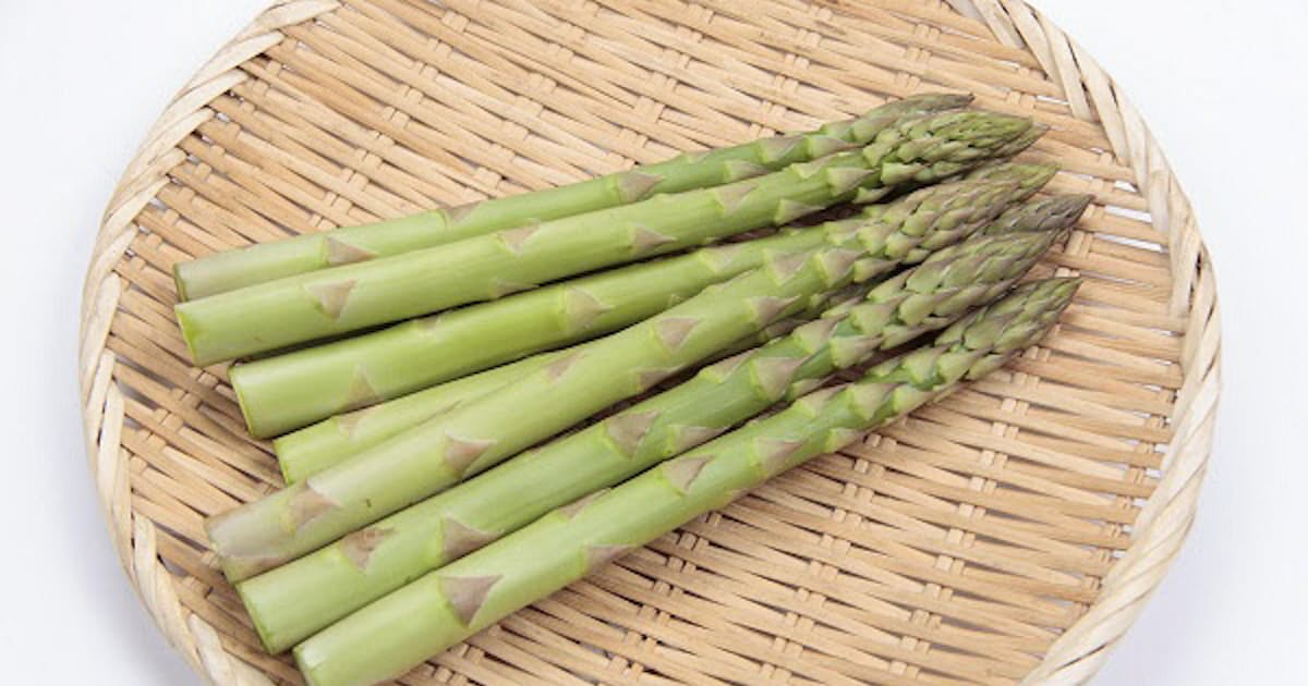 サカタのタネ アスパラガスの新品種 ウェルカムat の種子を発売 日本経済新聞 サカタのタネ アスパラガスの新品種 ウェルカムat の種子を発売 日本経済新聞