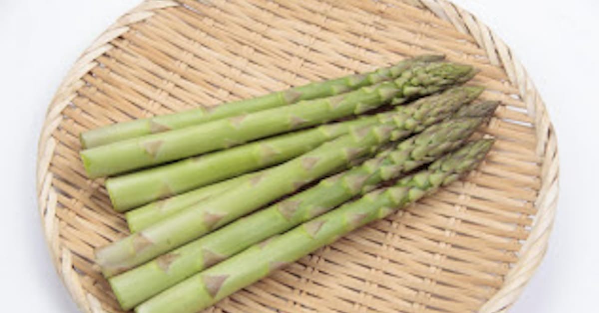 サカタのタネ アスパラガスの新品種 ウェルカムat の種子を発売 日本経済新聞