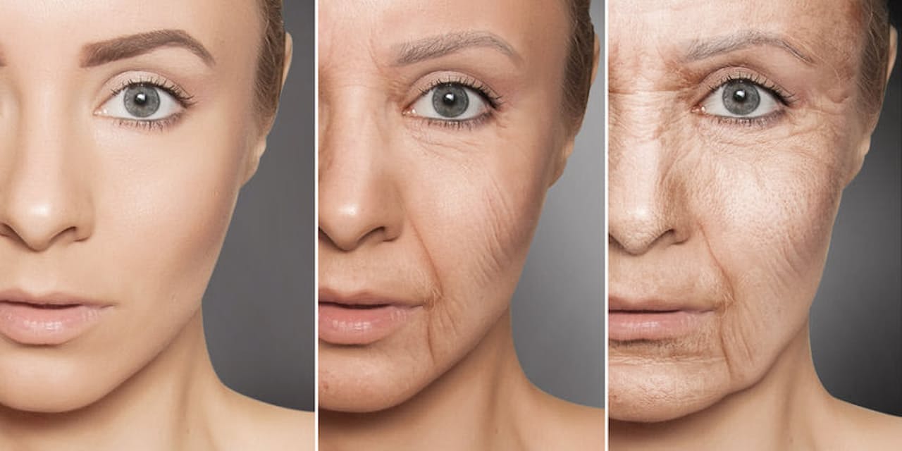 お酒を飲む機会が多い人ほど 体内にagesが蓄積される 老化を促進させる 糖化 Nikkei Style