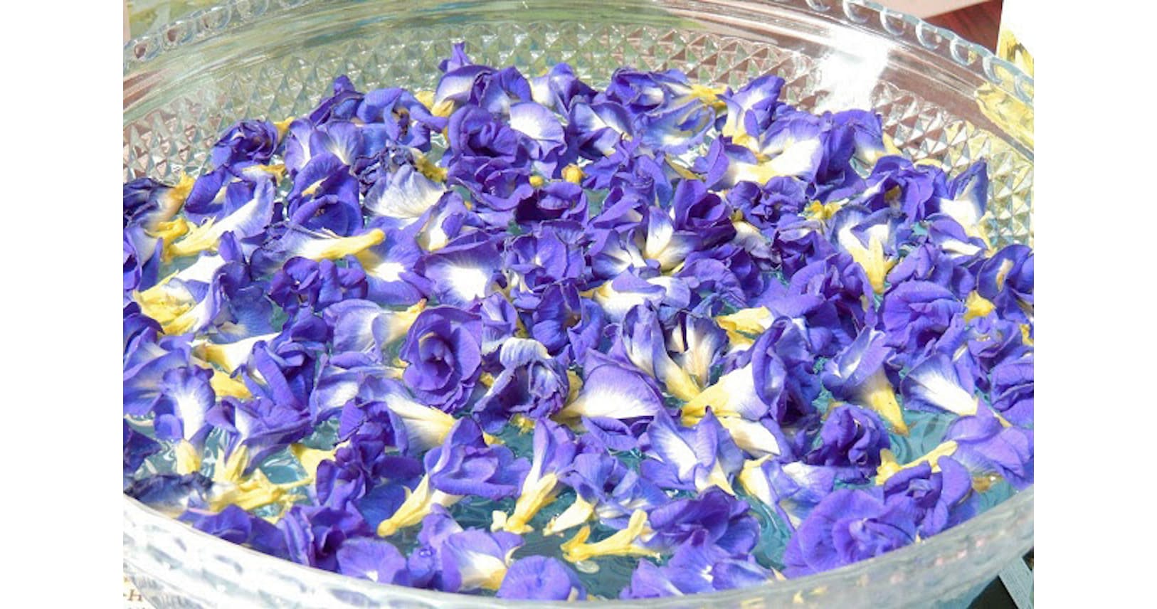 青色鮮やかなバタフライピー 飲料で楽しみ美肌効果も Woman Smart Nikkei Style