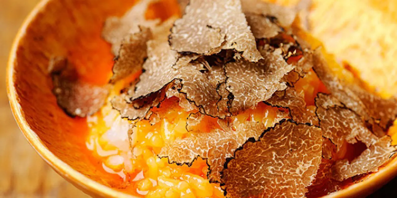 卵かけご飯にトリュフ キャビア ウニ 東京 恵比寿 Nikkei Style 卵かけご飯にトリュフ キャビア ウニ 東京 恵比寿 Nikkei Style