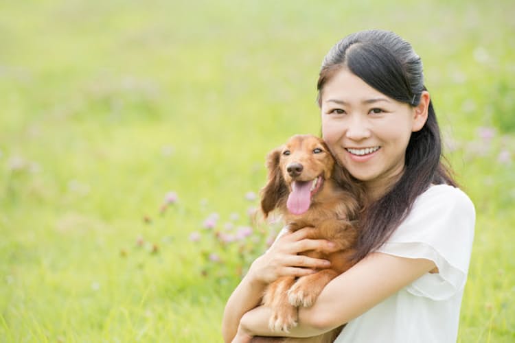 アラサー独身で犬を飼うと の都市伝説を解く Nikkei Style アラサー独身で犬を飼うと の都市伝説を解く Nikkei Style