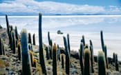 サボテンに囲まれたボリビア最大の塩原、ウユニ塩湖。驚くほど白い表面を1台の四輪駆動車が走っていく (c)James Lyon/Lonely Planet Images