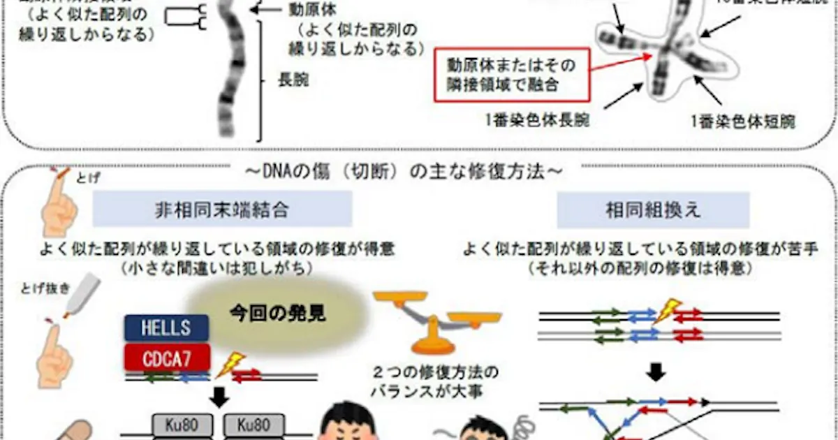 日本経済新聞