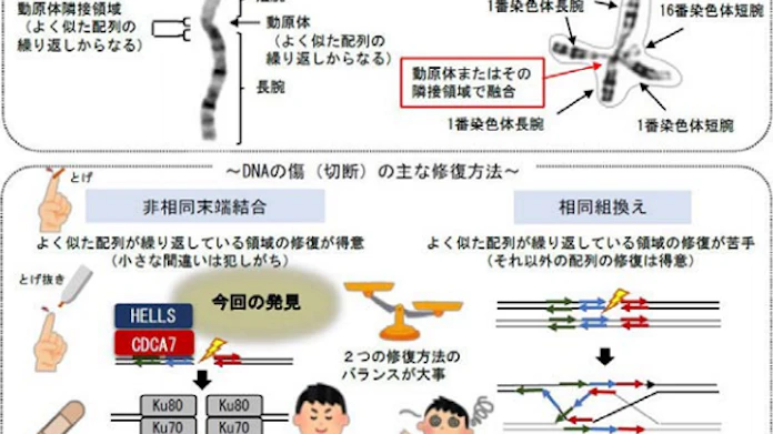 日本経済新聞